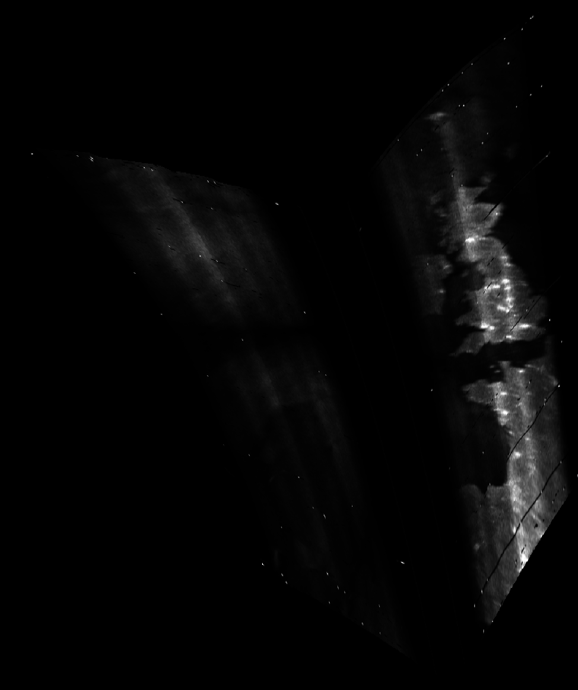 ascat_grayscale_proj_forward.png